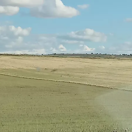 Bar Torralba De Sisones Fogadó Torralba de los Sisones