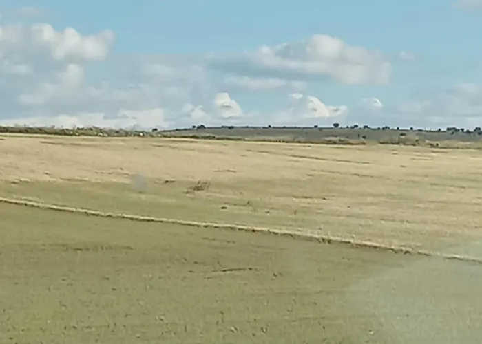 Bar Torralba De Sisones Gæstehus Torralba de Los Sisones